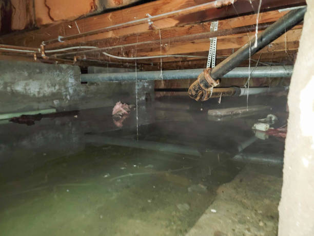 Best Fire Damage Restoration  in Pupukea, HI