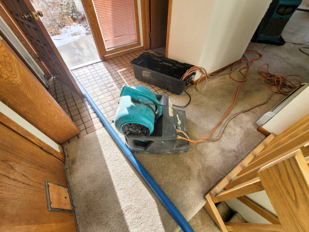 Best Local water damage restoration  in Pupukea, HI