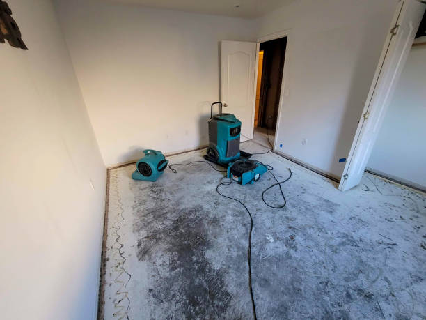 Best Basement water damage restoration  in Pupukea, HI