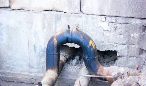 Best Mold removal after water damage  in Pupukea, HI