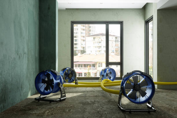 Best Residential water damage restoration  in Pupukea, HI