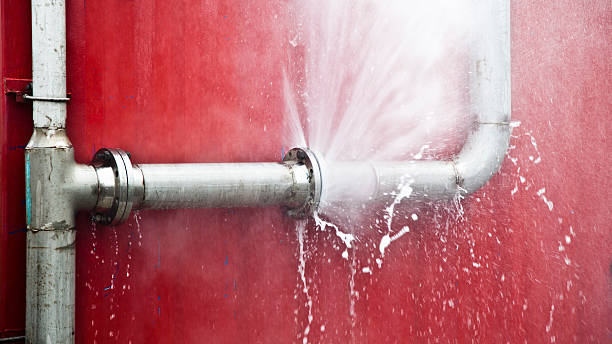 Best Water damage cleanup near me  in Pupukea, HI